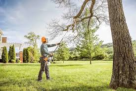 Plummer, ID Tree Services Company